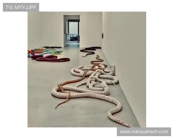 加莱诺:探索艺术与生活交融的奇妙旅程与启示 加莱诺:探索艺术与生活交融的奇妙旅程与启示