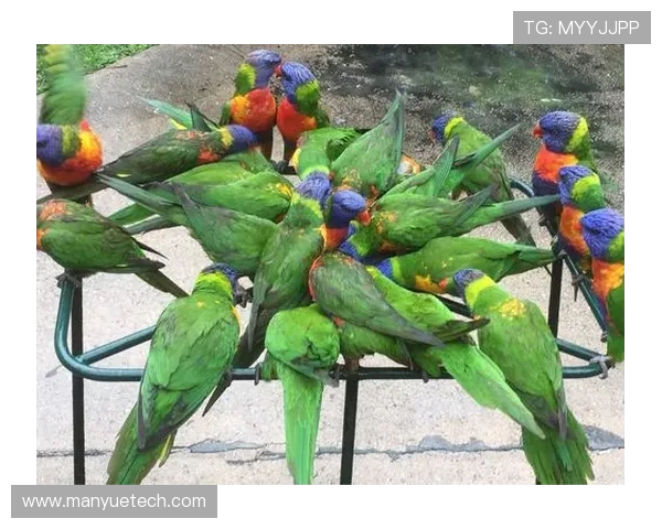 黄娜的滑板人生：在城市街头与梦想深度对话的旅程