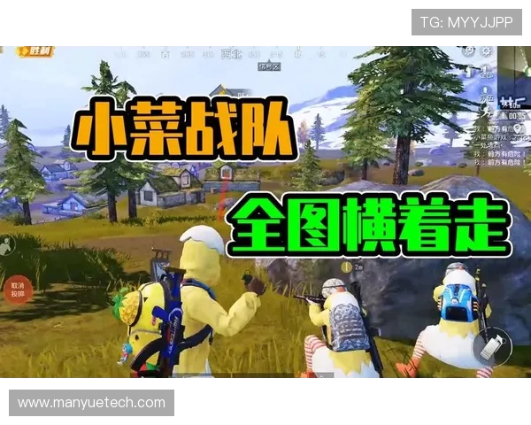 和平精英纪实：见证V5战队从崛起到蜕变的全程故事