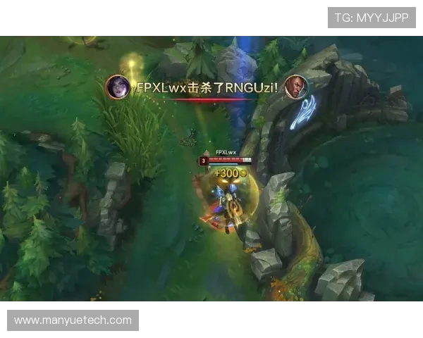 RNG团队协作的成功之道与英雄联盟战术解析