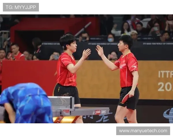 武汉乒乓球队在全国团队协作排行榜中荣获第五名的佳绩分析